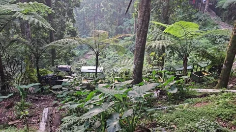 E-Power mini train Stock Footage 246973409