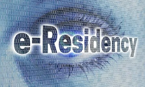 E-residency eye with matrix looks at viewer concept Stock Illustration