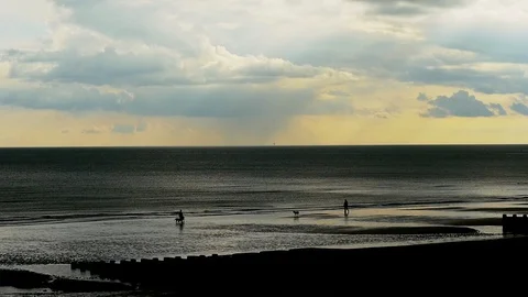 E Sunset silhouettell dogs on the beach slow motion Video stock 117905441