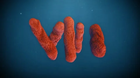 E Virus Stock Footage 116605192