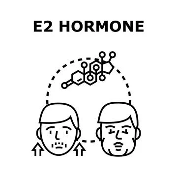E2 hormone affecting male feminization and health Stock Illustration