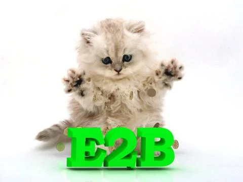 E2B  Feathery kitty with feathery raised upwards paws on white background Stock Illustration