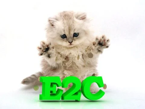 E2C  Feathery kitty with feathery raised upwards paws on white background Illustrazione stock