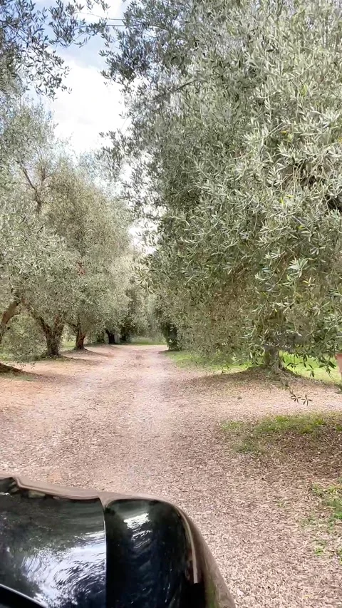 E3D9E0C8-2FF4-42ED-9128-CE85BF1DE1A2 Видео 332490522