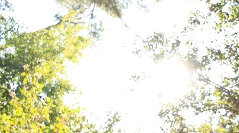 E4IMG  047 Stock Footage 913787