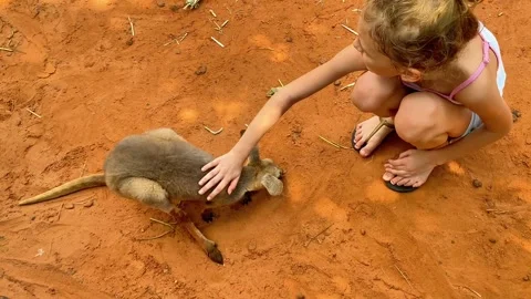 E79BB3DE-2F6C-413E-9ED5-54FDD623A0A2 Video stock 328075752