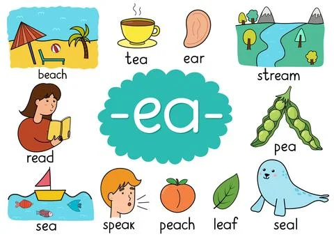Ea digraph spelling rule educational poster for kids with words. Learning Stock Illustration