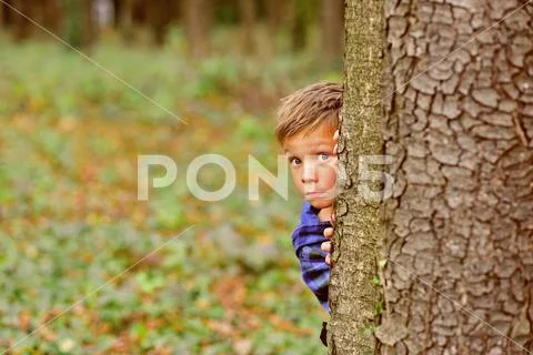 Each day holds a surprise. Small boy hide behind tree. Small boy playing Stock Photos
