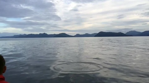 Eagl On River Stock Footage 46484397