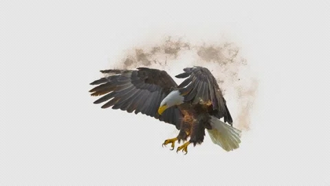 Eagle Alpha Loop 4K Stock Footage 152905483