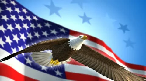 Eagle and American Flag Stock Footage