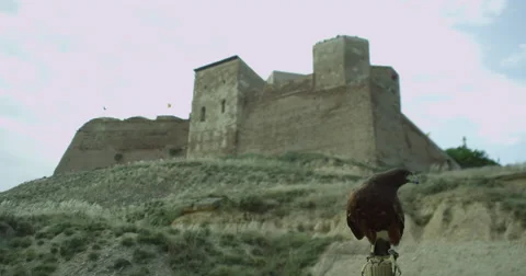 Eagle and Castle Stock Footage 67572633