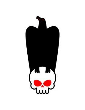 Eagle and skull template for emblem. Hawk logo. Vector illustration Illustrazione stock