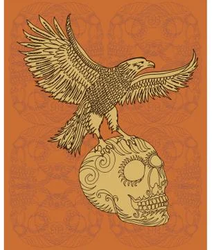 Eagle and skull vector art Stock Illustration