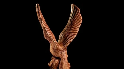 Eagle and snake Stock Footage 254899991