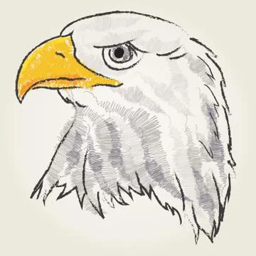 Eagle art sketch Stock Illustration