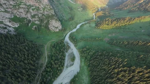 An eagle attacked an FPV drone in the middle of a green gorge Video stock 312540807