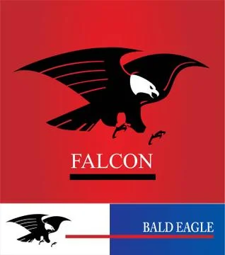 Eagle. Bald eagle. Black eagle. Stock Illustration