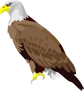Eagle Bird Animal Stock Illustration