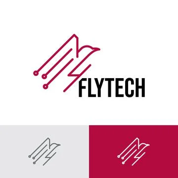 Eagle Bird Flying Circuit Electronic Technology Logo Template Stock Illustration