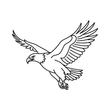 Eagle bird flying line art black and white vector illustration for design. Stock Illustration