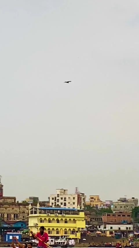 Eagle bird flying over crowded city dwellings alongside buriganga river in Vídeo Stock 331695664