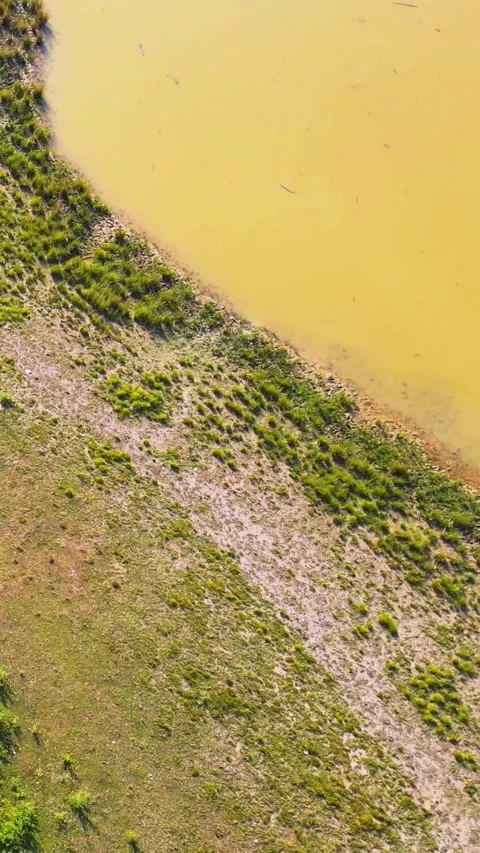 Eagle Bird flying over island along murky water riverbank in haor region in Stock Footage 333631488