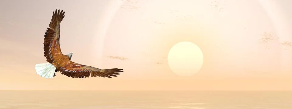 Eagle bird going to the sun - 3D render Stock Illustration