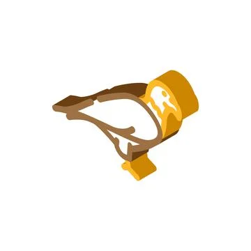 Eagle bird isometric icon vector illustration イラスト素材