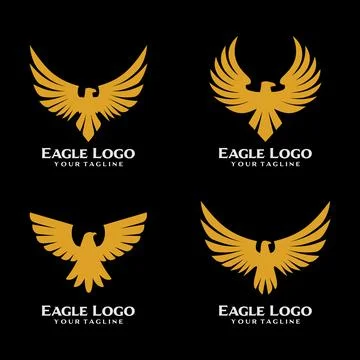 Eagle Bird Logo Design Vector Stock Illustration