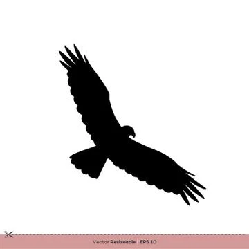 Eagle - Bird Silhouette Vector Logo Template Illustration Design. Vector EPS 10. 스톡 일러스트