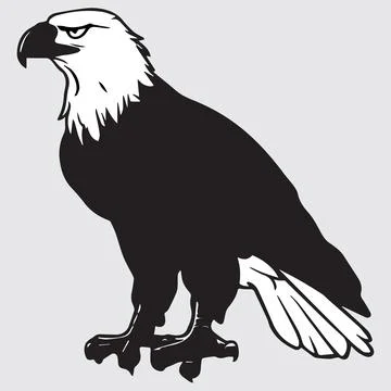 Eagle bird vector art design Stock Illustration