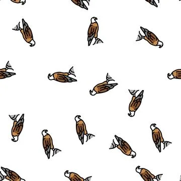 Eagle bird in zoo vector seamless pattern イラスト素材