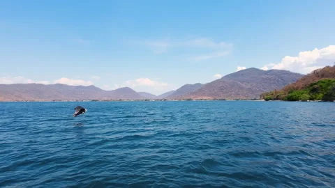 Eagle Catching Fish and Flying Over Lake Malawi Stock Footage 343910332