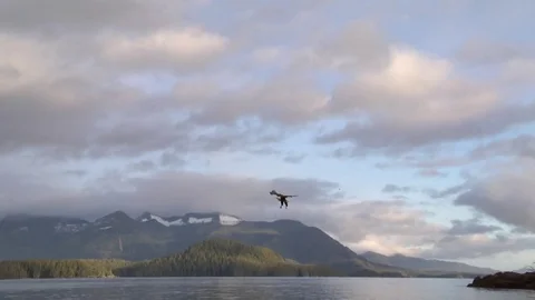 Eagle catching a fish Stock Footage 71185878