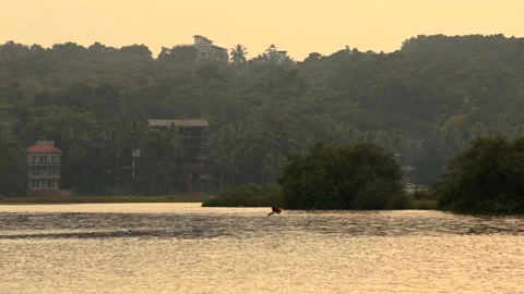 Eagle Catching Prey Stock Footage 321292218