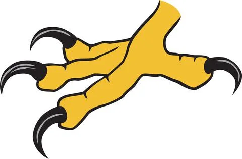 Eagle claw Stock Illustration