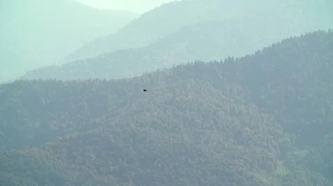 The eagle couple is turned over mountains slow motion Stock Footage 56229529