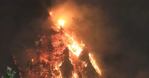 Eagle Creek Fire Oregon. Stock Footage 139983334