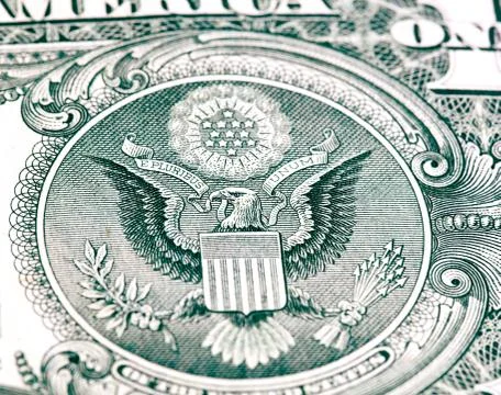 Eagle in dollar bill Stock Illustration