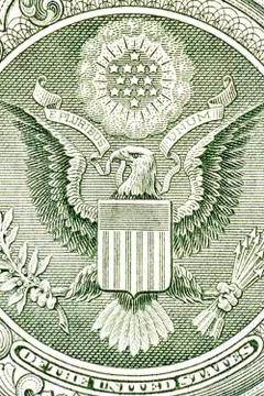 Eagle on the dollar bill, macro Stock Illustration