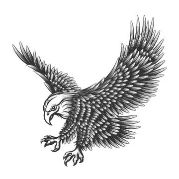 Eagle Engraving illustration Stock Illustration