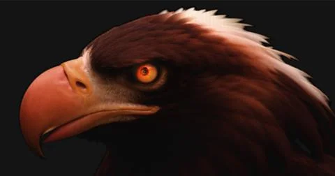 Eagle eye close-up portrait made of hexagonal polygons. honeycomb pattern. .. Stock Illustration