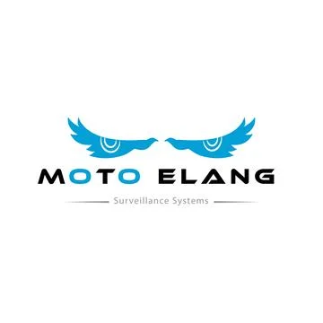 Eagle Eye Surveillance Systems Stock Illustration