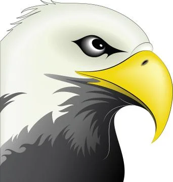 Eagle Face Stock Illustration