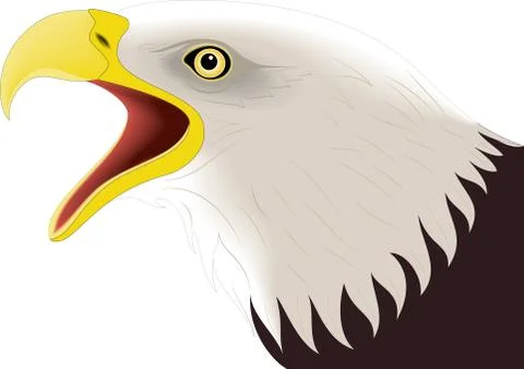 Eagle Face Stock Illustration