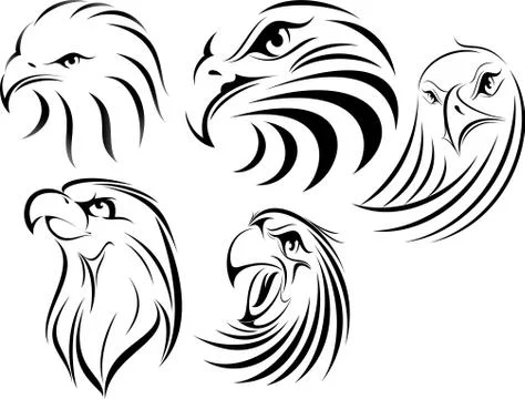 Eagle Face Stock Illustration