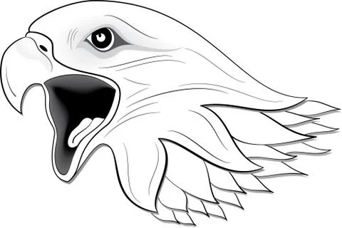 Eagle Face Stock Illustration