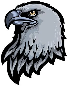 Eagle Face Illustration. Sky. Fly. Vector Stock Illustration