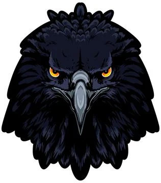 Eagle Face Illustration. Sky. Fly. Vector Stock Illustration
